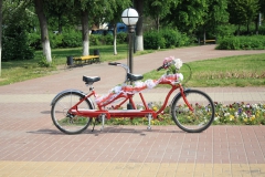 Svatební tandem